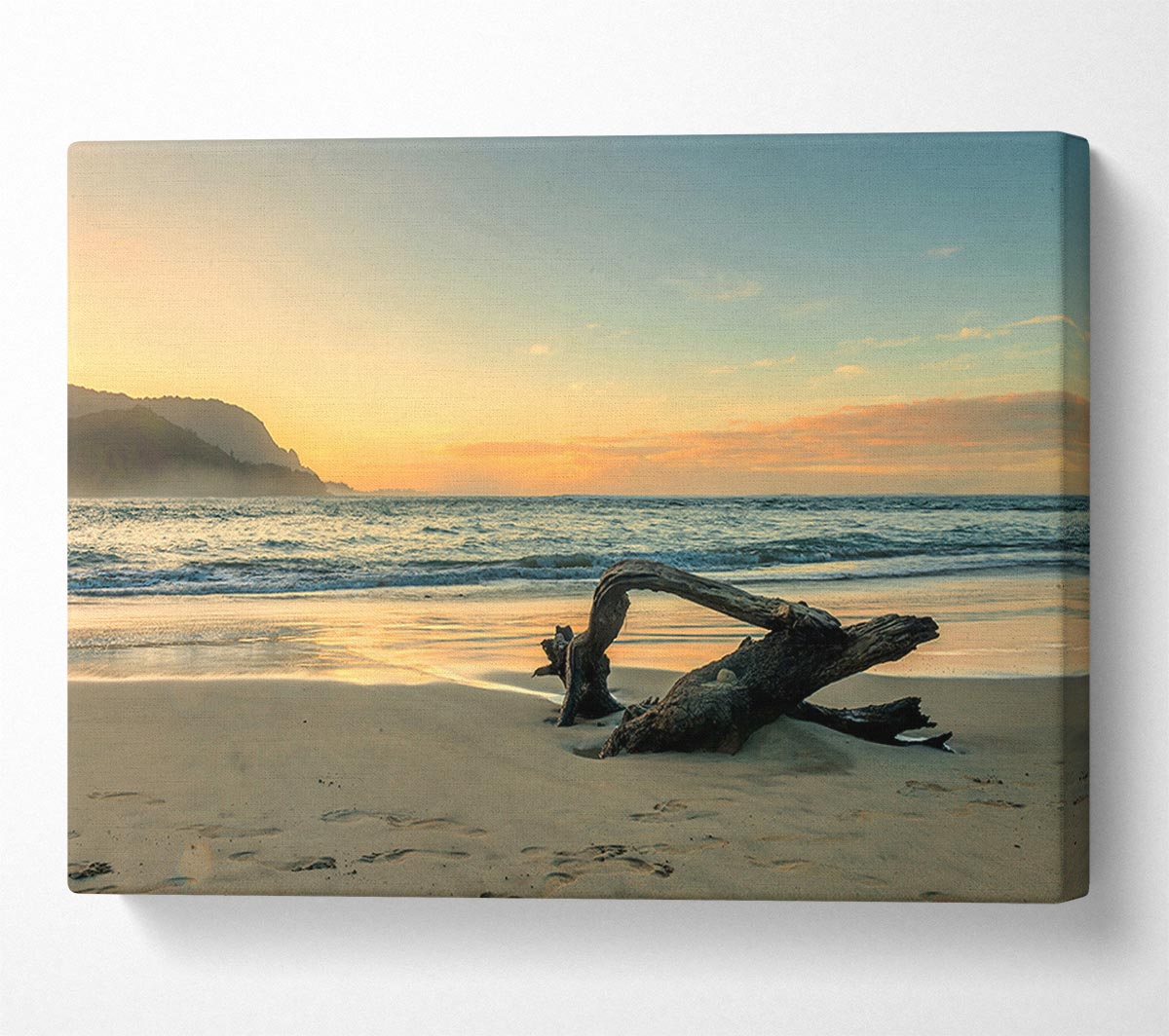Driftwood Ocean Canvas Wall Art