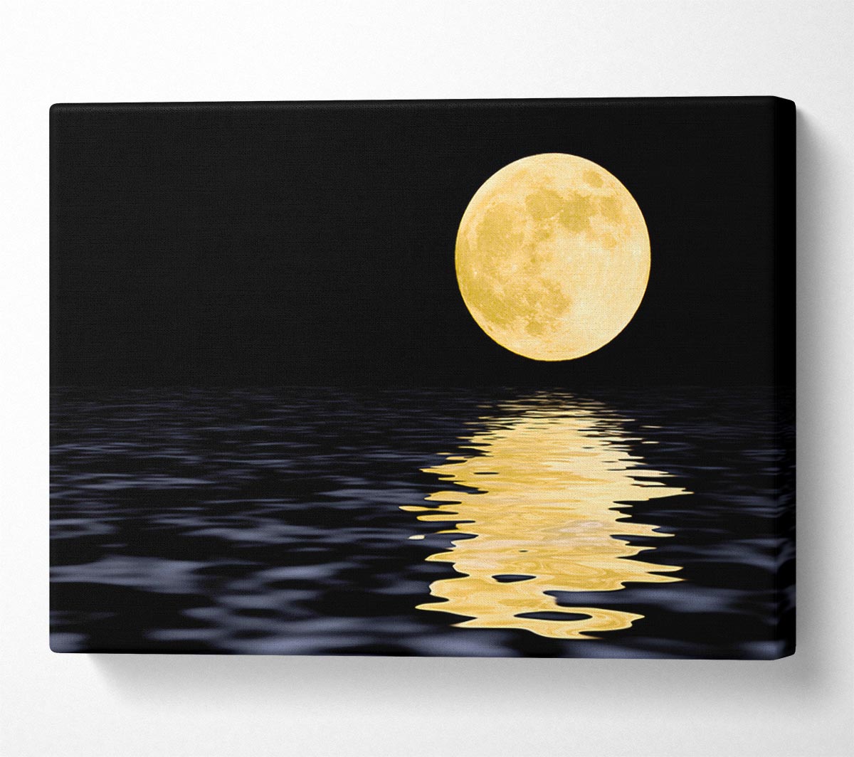 Perfect Moon Reflection Canvas Wall Art