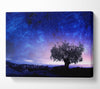 Star Light Wonder Canvas Wall Art
