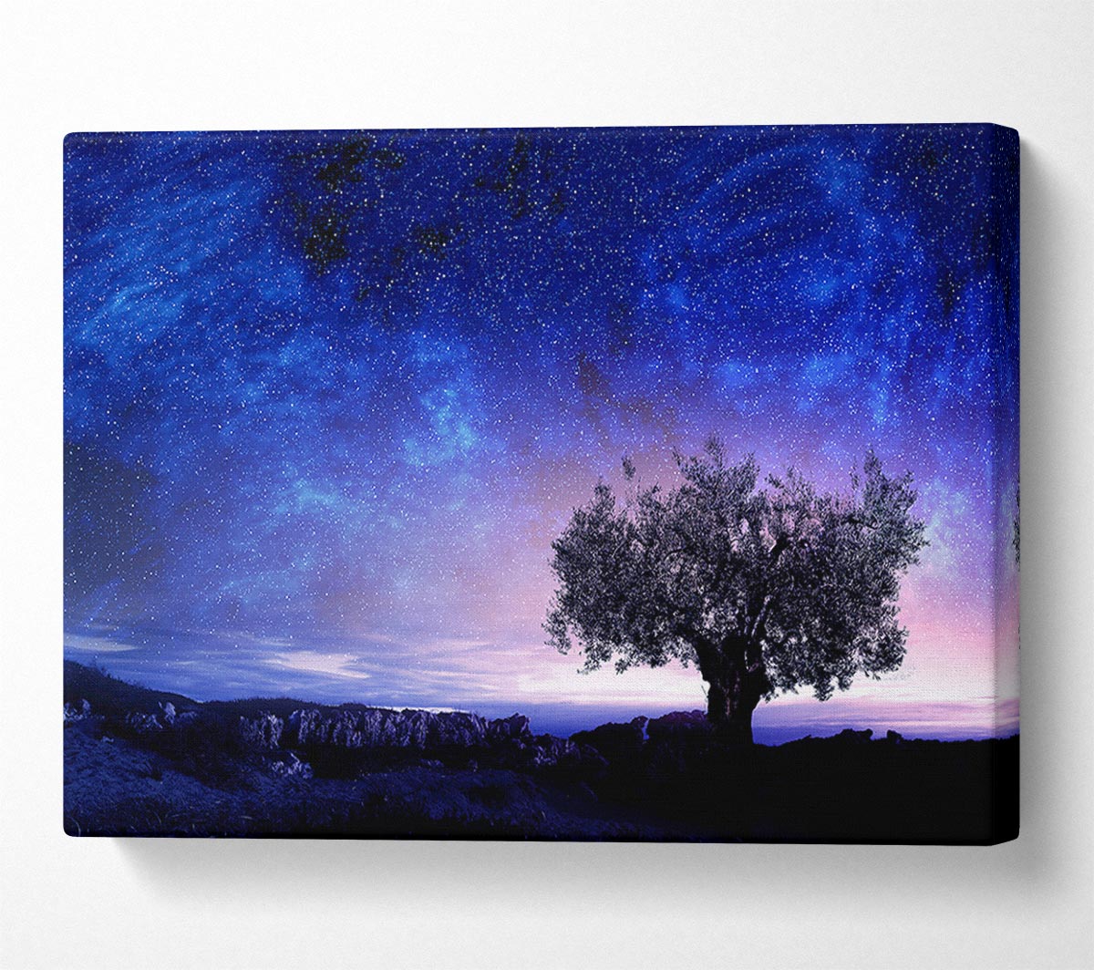 Star Light Wonder Canvas Wall Art