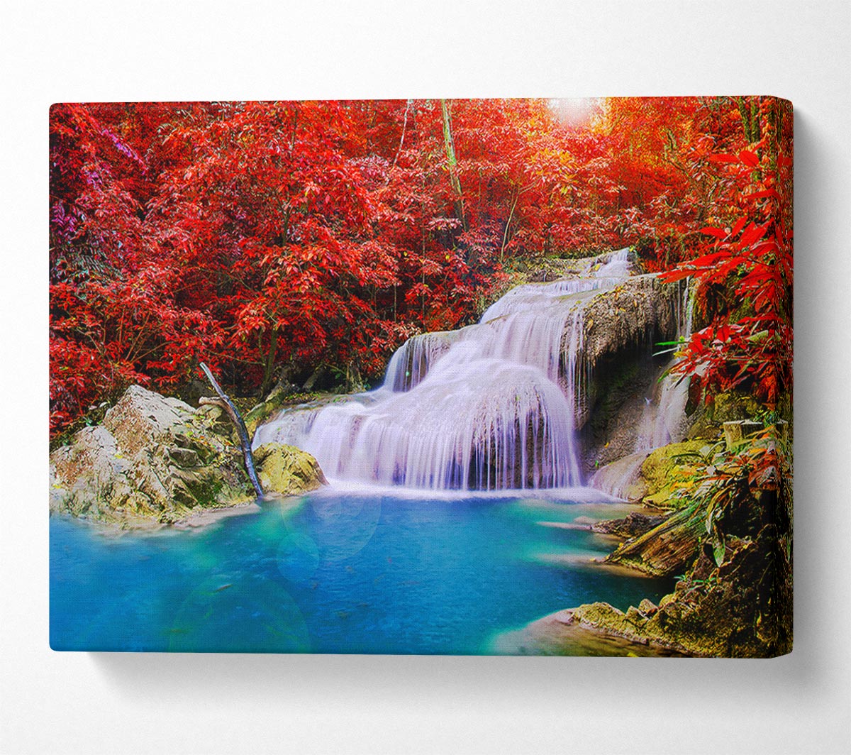 Red Tree Delight Canvas Wall Art