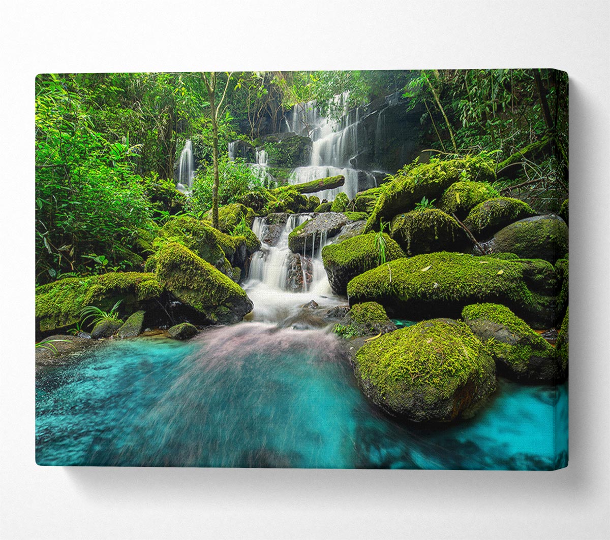 Green Delight Canvas Wall Art