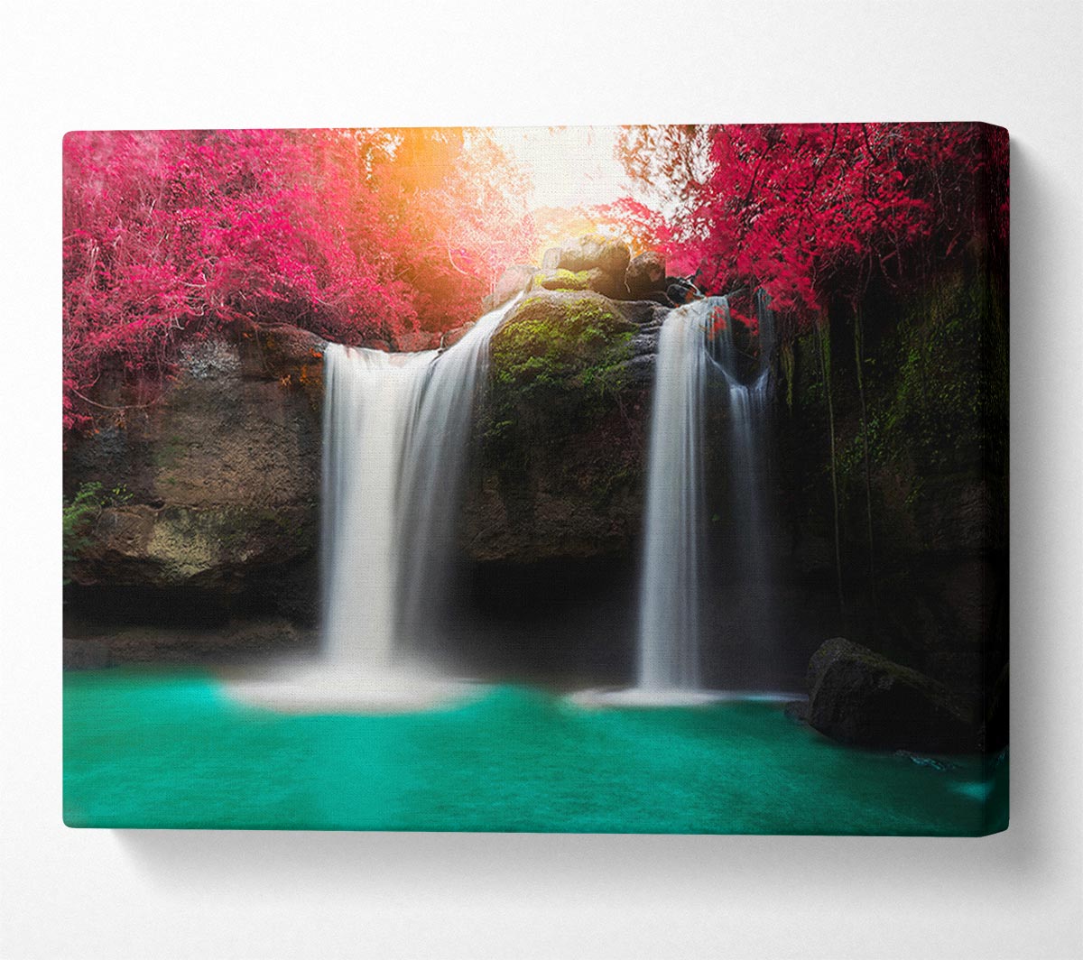 Pink Tree Beauty 5 Canvas Wall Art
