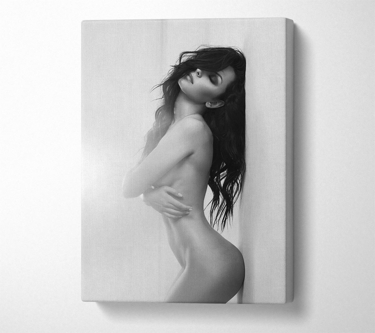 The Perfect Arch Canvas Wall Art