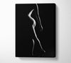 The Female Form 2 Canvas Wall Art