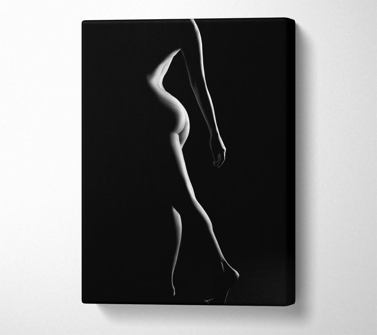 The Female Form 2 Canvas Wall Art