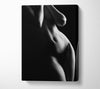 The Female Form 1 Canvas Wall Art