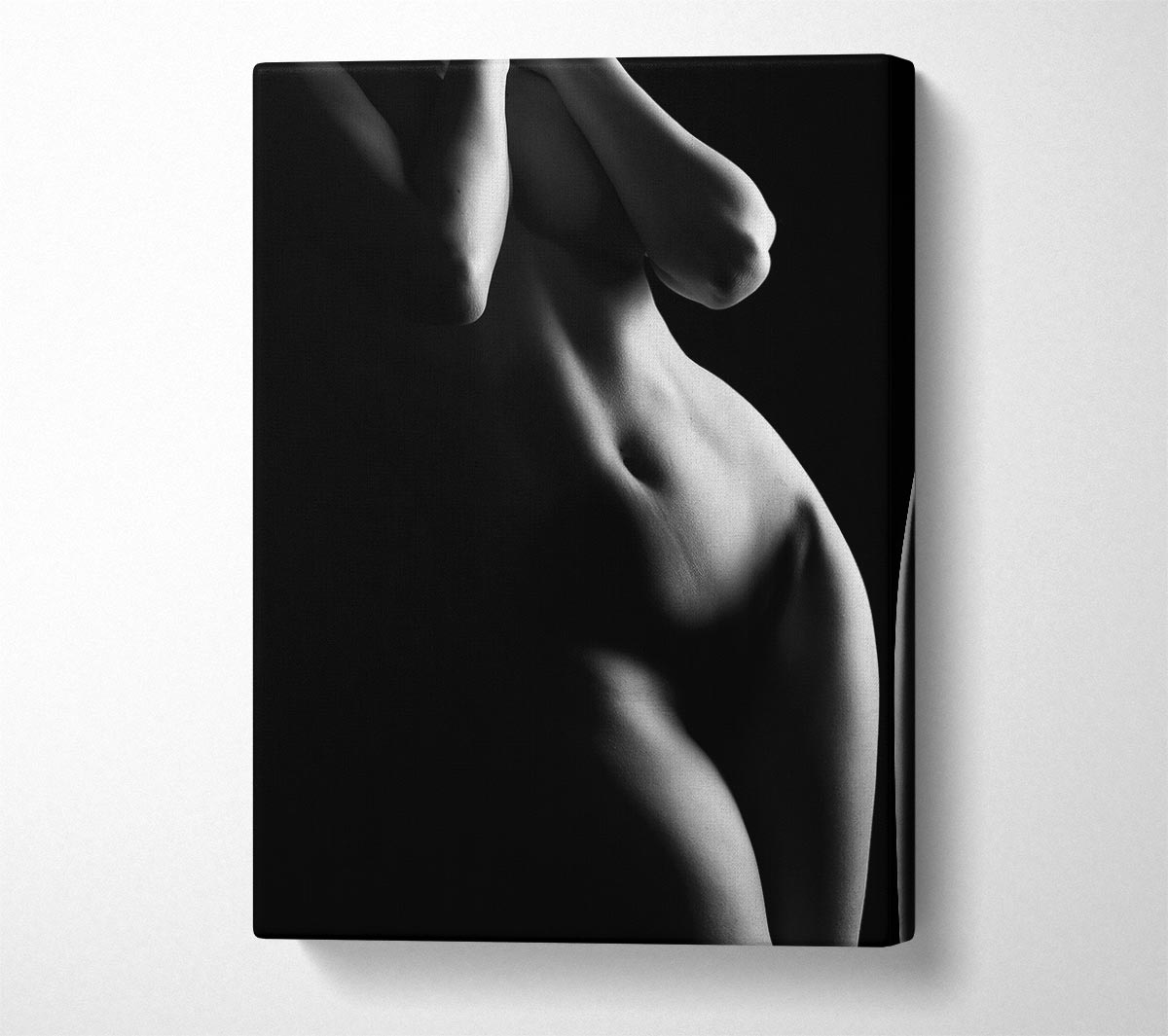 The Female Form 1 Canvas Wall Art