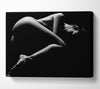 The Female Form 4 Canvas Wall Art