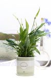 Spath Overig Keramiek Vive Le Vert