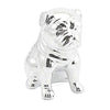 shinny silver look bulldog money bank bulldog