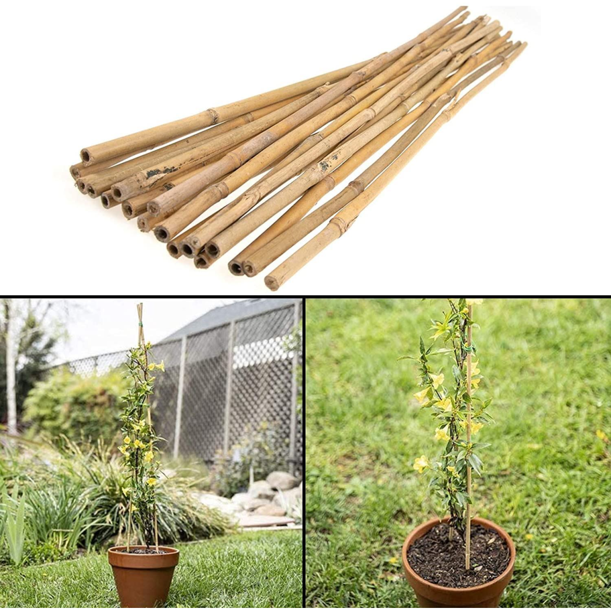ONE PIECE 2ft (60cm) Bamboo cane