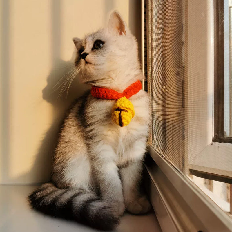 Cat British Short Wool Cute Collar