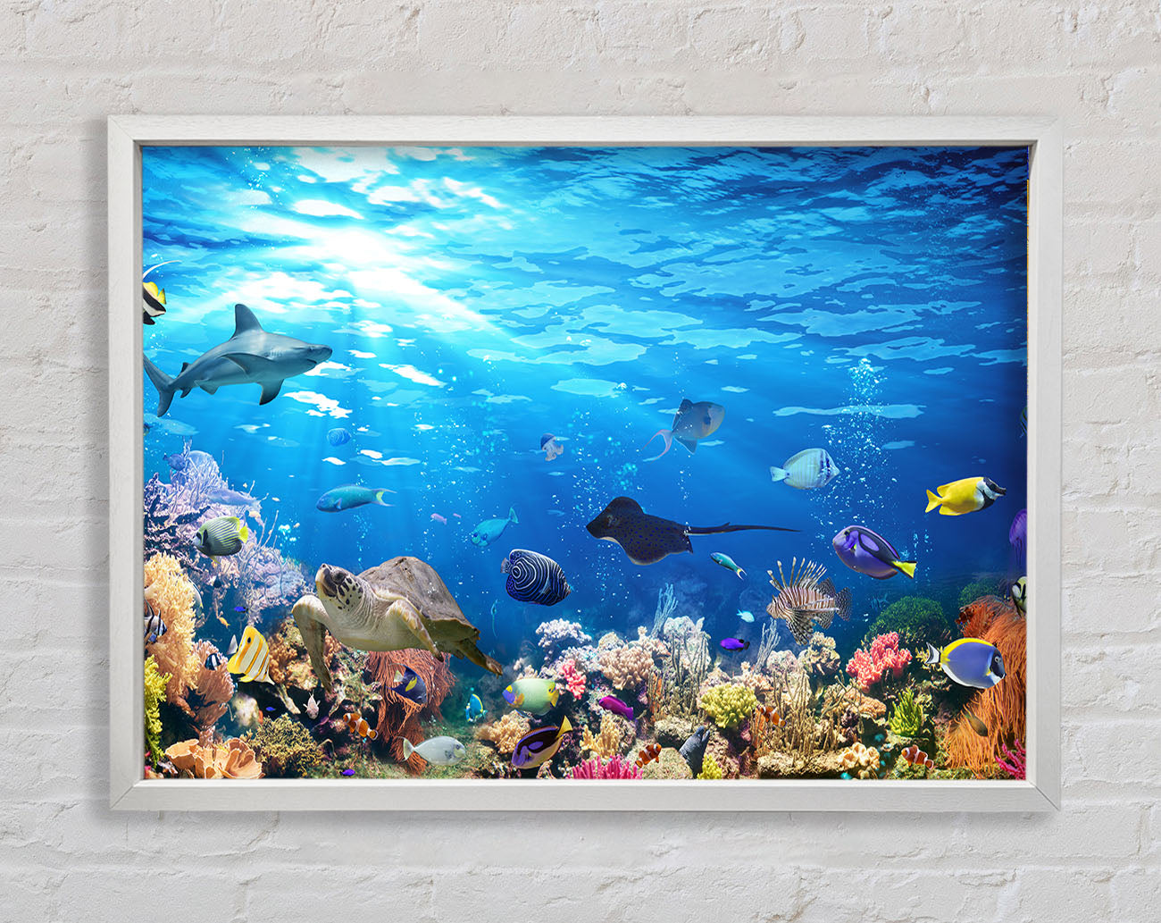 Creatures in the reef Framed Wall Art