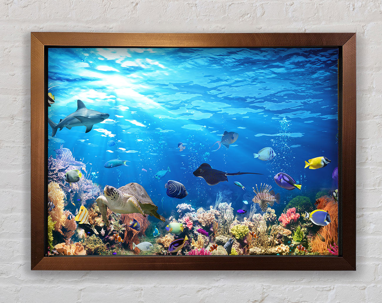 Creatures in the reef Framed Wall Art