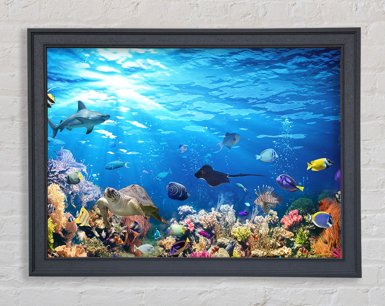 Creatures in the reef Framed Wall Art