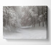Grey snow forest Canvas Wall Art