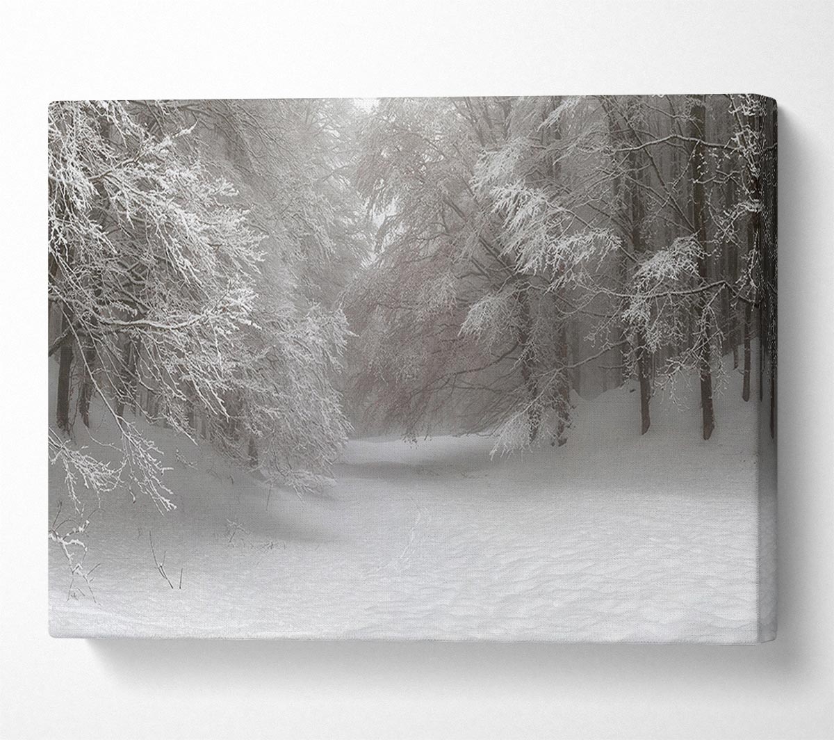 Grey snow forest Canvas Wall Art