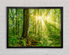 Bright light flare in the forest Framed Wall Art