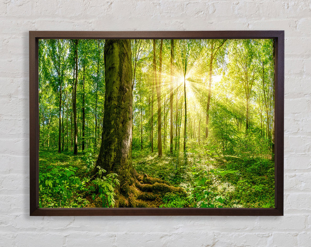 Bright light flare in the forest Framed Wall Art