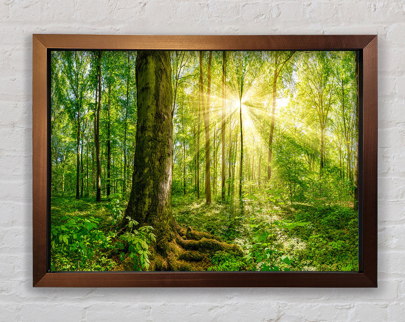 Bright light flare in the forest Framed Wall Art