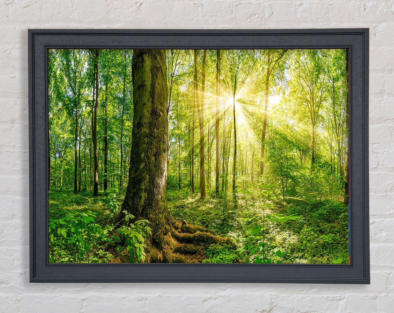 Bright light flare in the forest Framed Wall Art