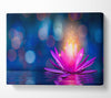 Spores of light from a lilly Canvas Wall Art