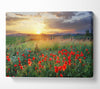 Red poppies in the green countryside Canvas Wall Art