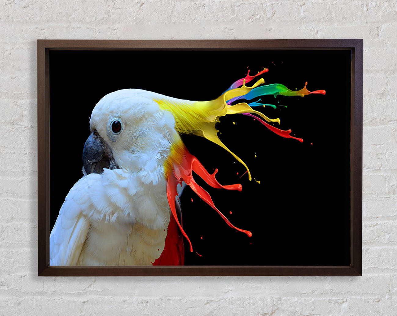 cockatoo colour splash Framed Wall Art