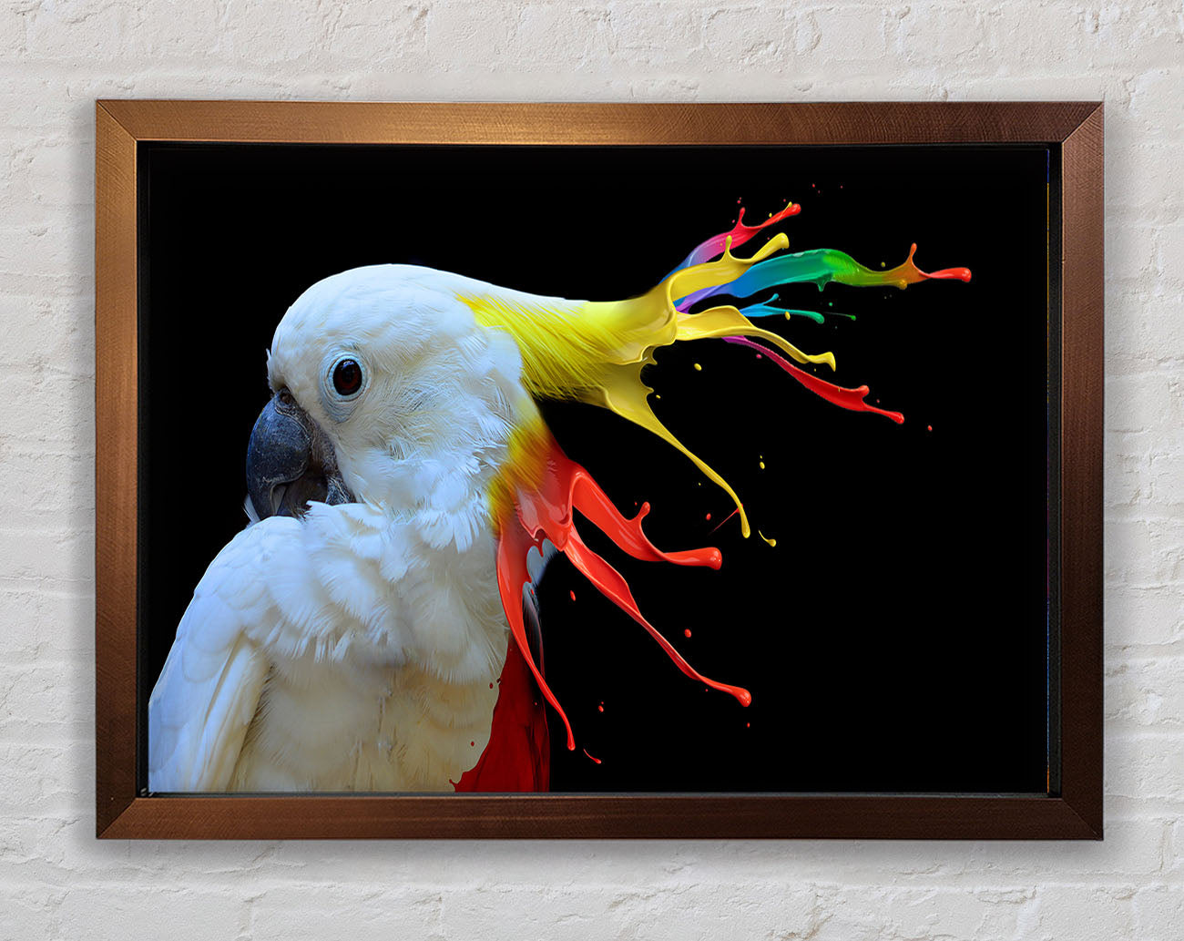 cockatoo colour splash Framed Wall Art