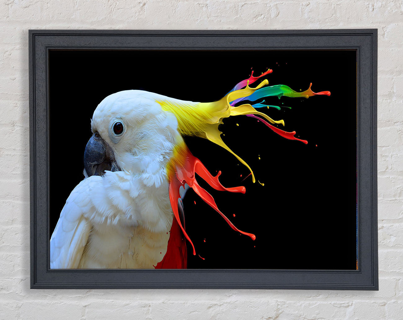 cockatoo colour splash Framed Wall Art