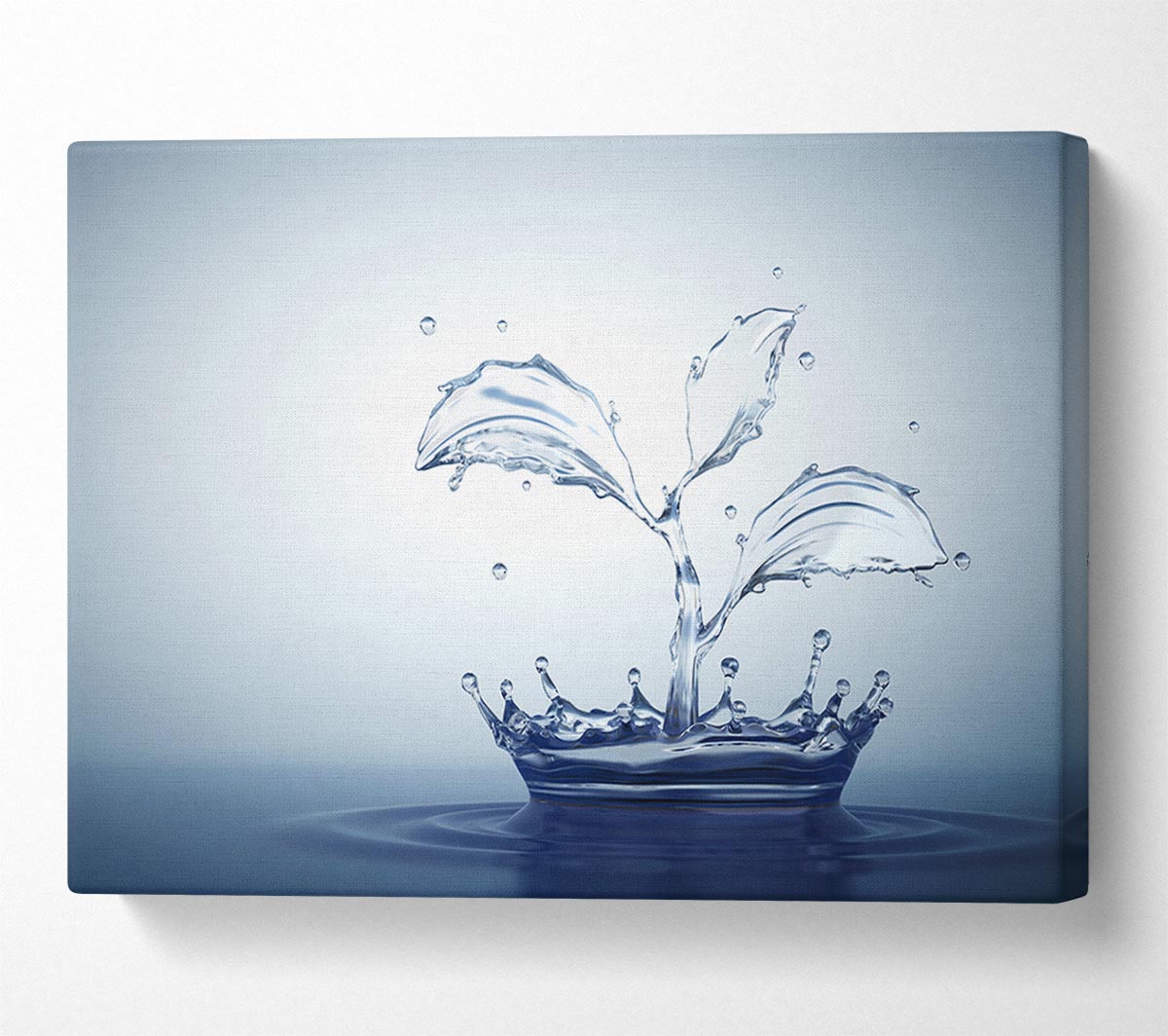 Water splash plant Canvas Wall Art