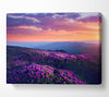 Purple Meadow mountains Canvas Wall Art