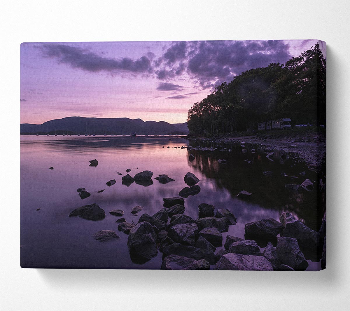 Purple night river Canvas Wall Art