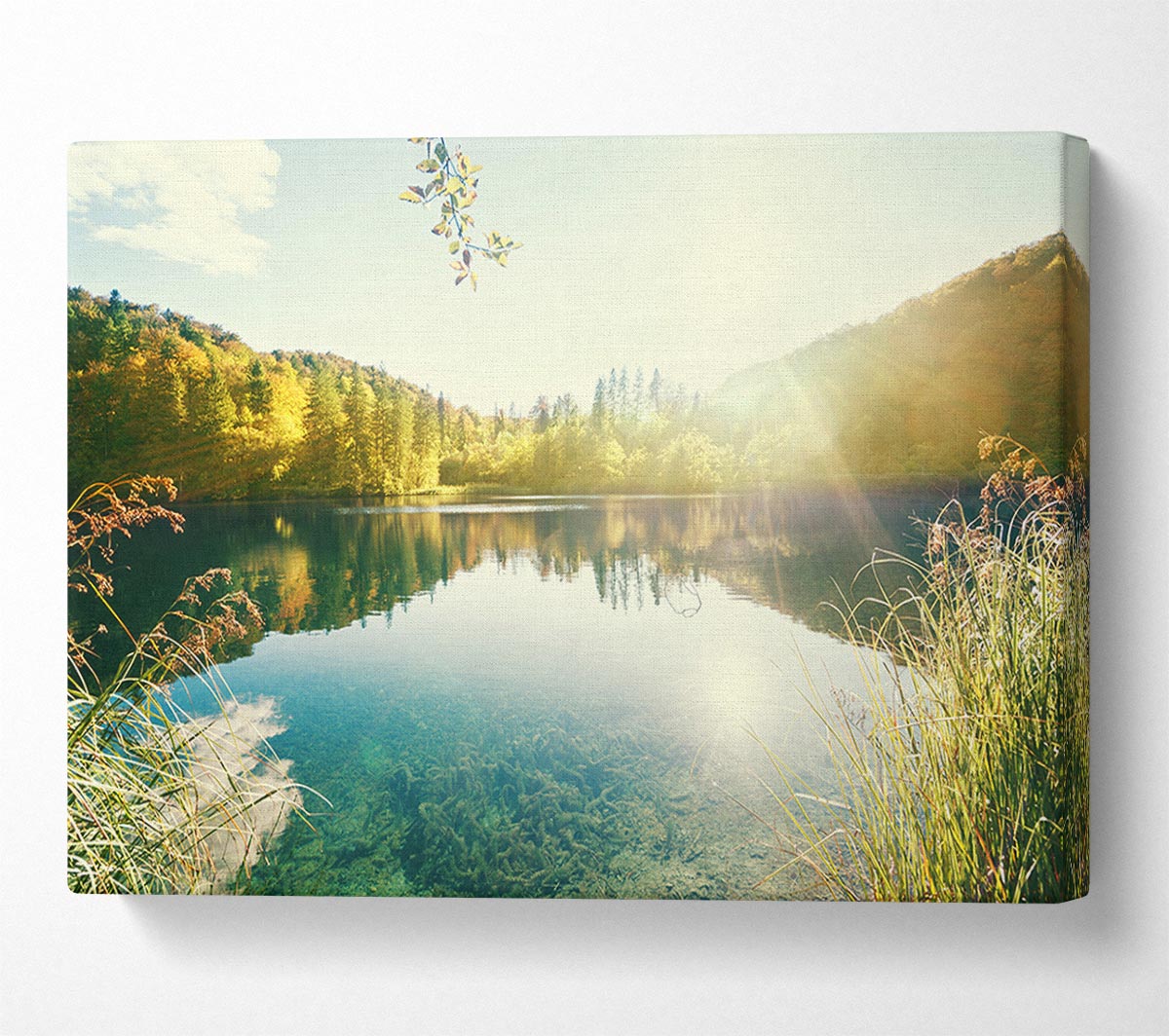 Sun shining on the calm river Canvas Wall Art