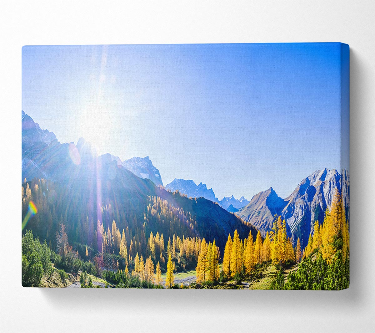 Mountain view of tall trees sunrise Canvas Wall Art
