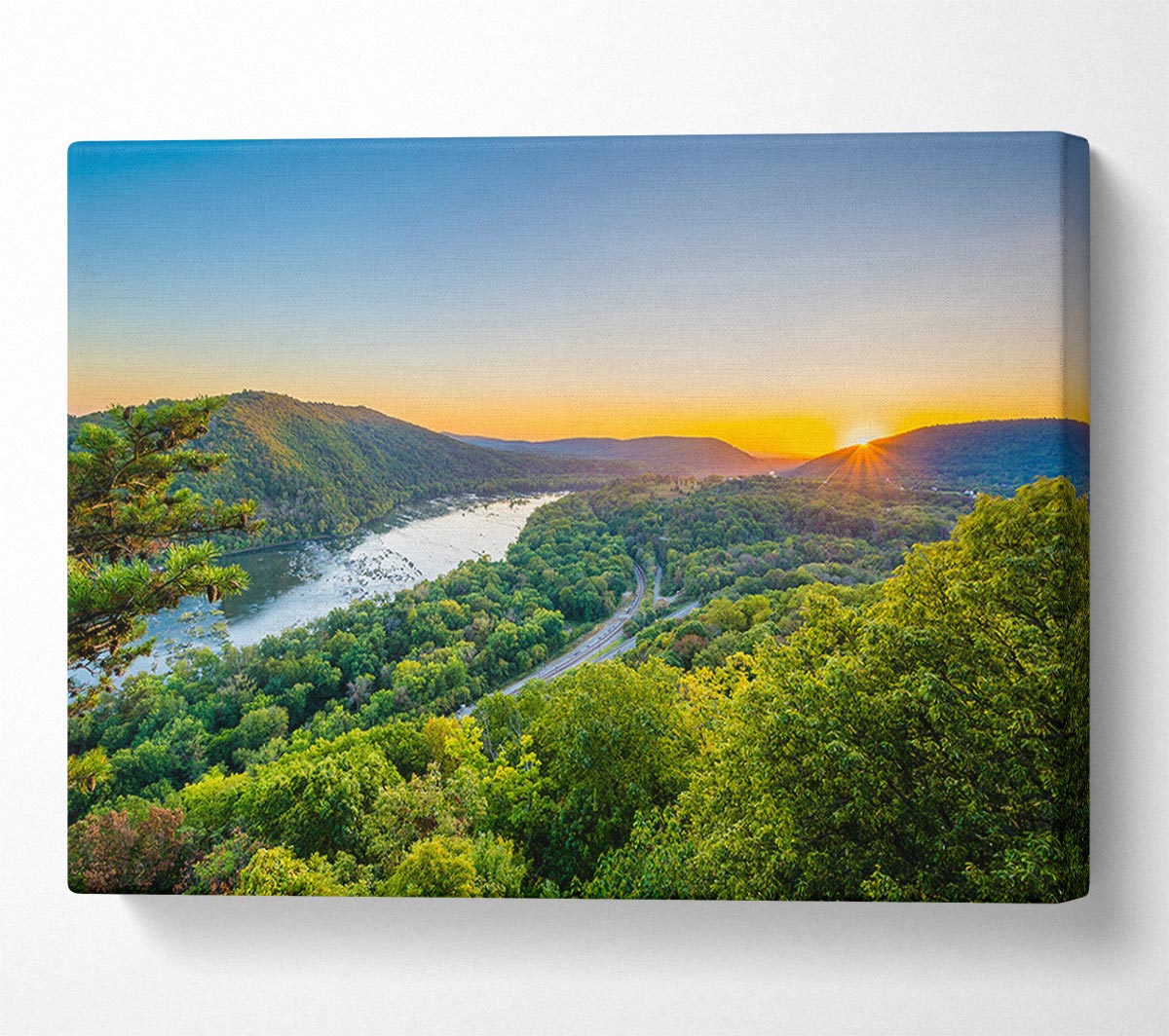 highway through the jungle Canvas Wall Art