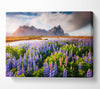 Loopins in the forest Canvas Wall Art
