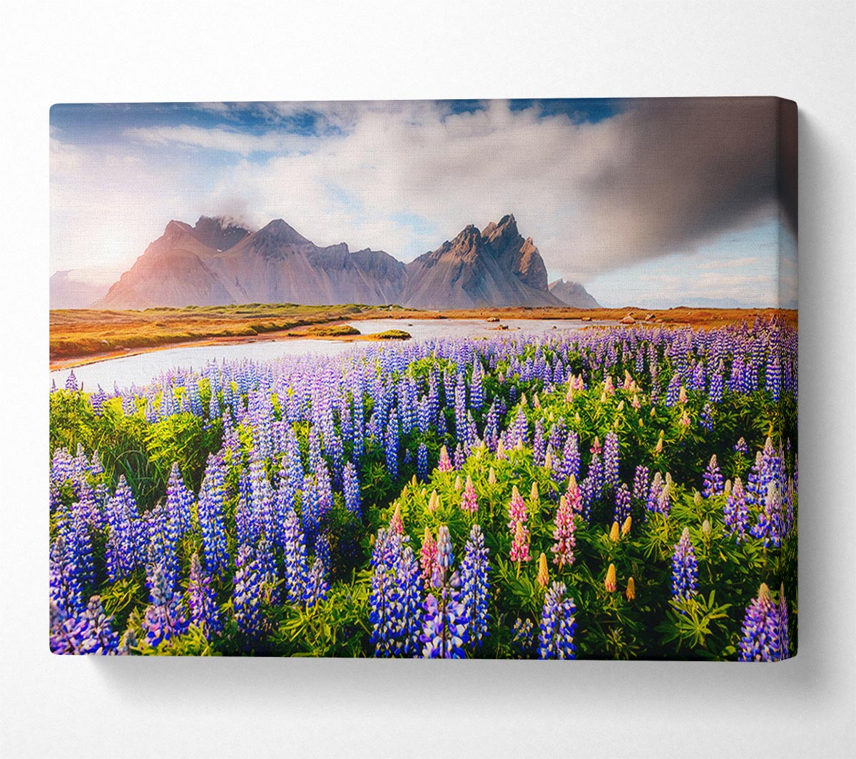 Loopins in the forest Canvas Wall Art