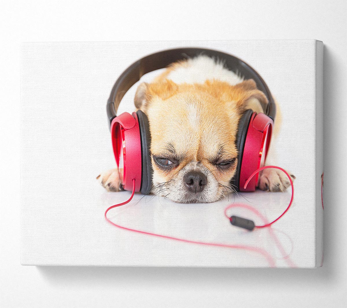 Dog listening to music relaxing Canvas Wall Art