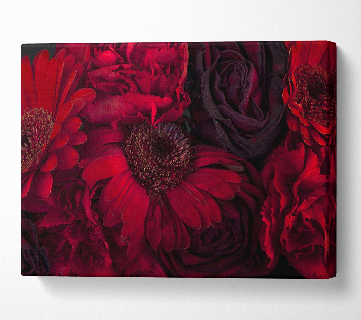 Red dying flowers Canvas Wall Art