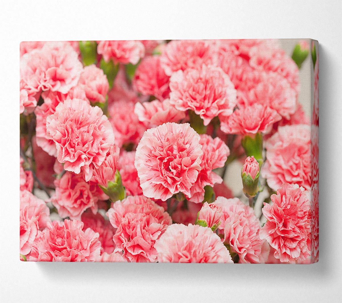 Pink floweres of plenty Canvas Wall Art