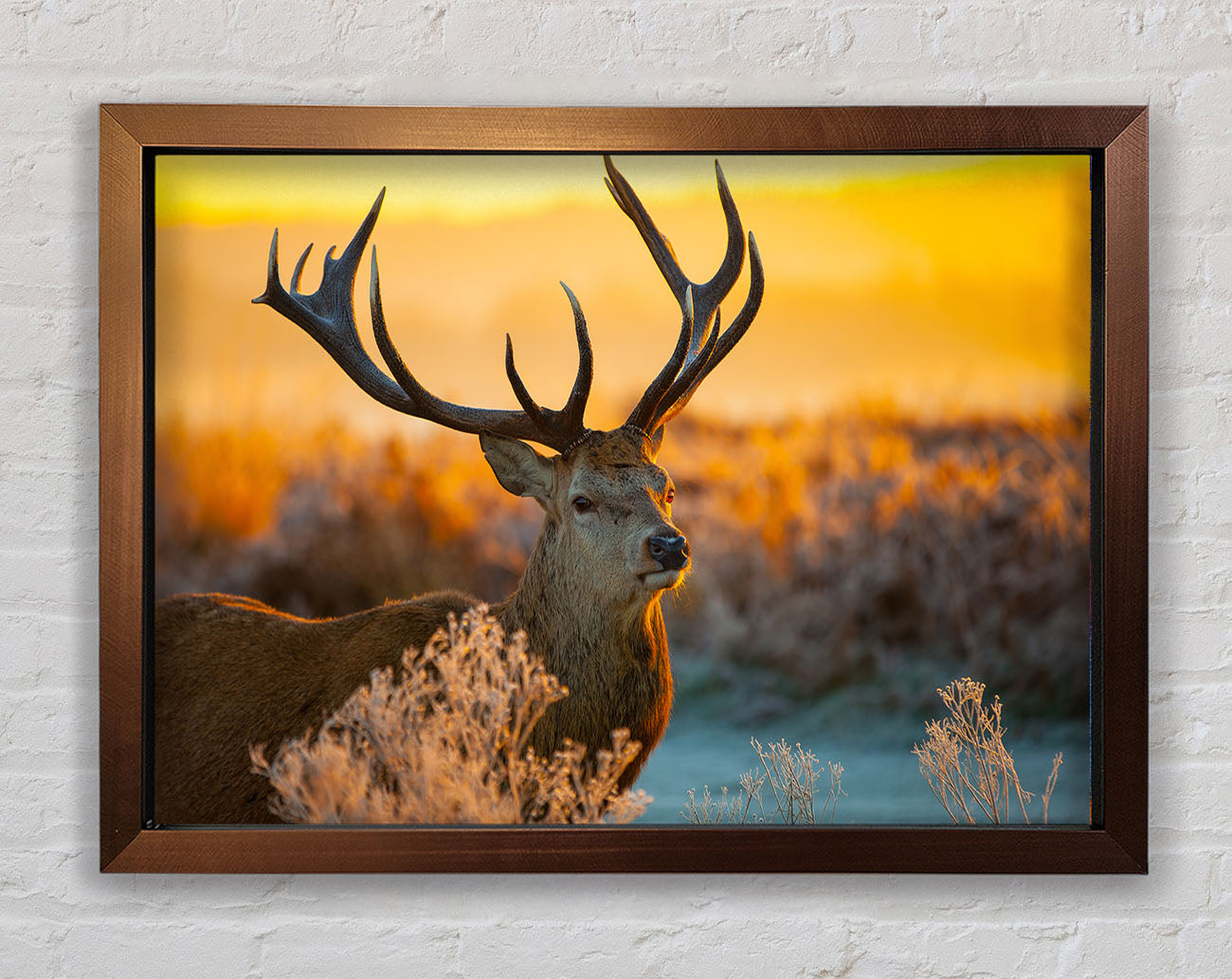 Crisp winters stag Framed Wall Art
