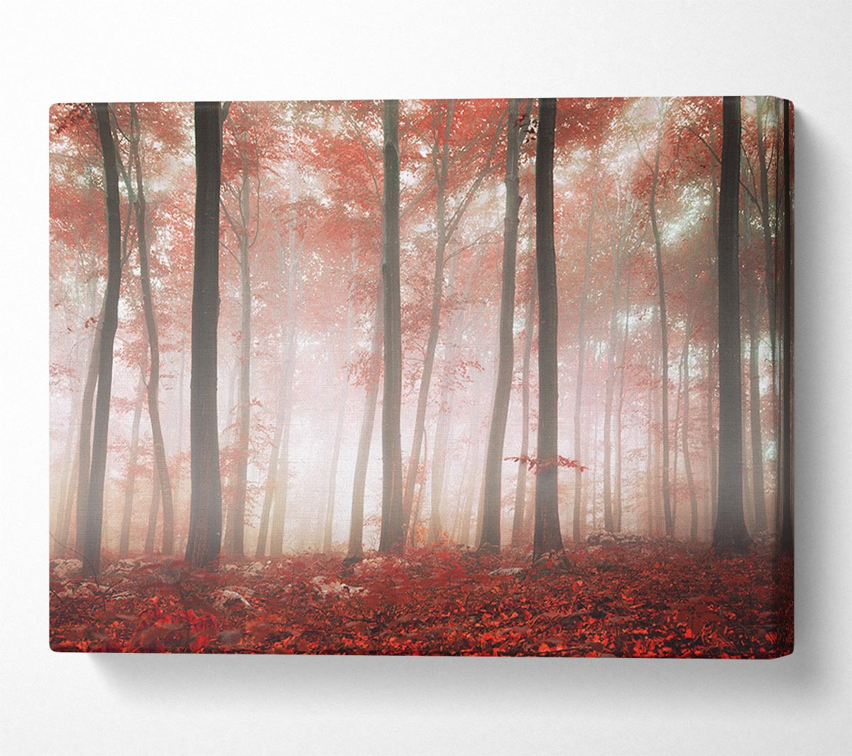 Red misty woods Canvas Wall Art