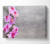 Pink Orchids on grey Canvas Wall Art