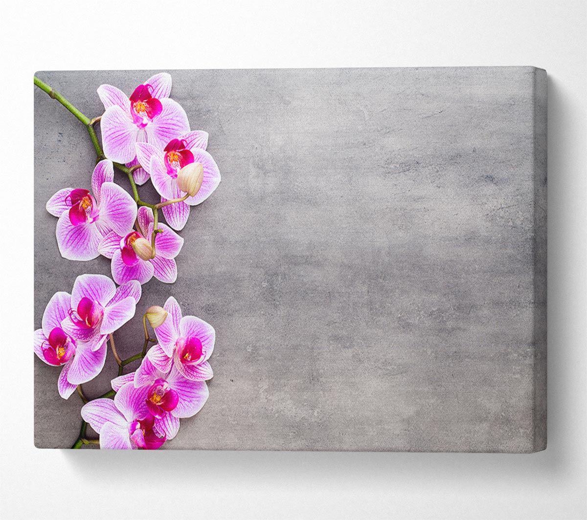 Pink Orchids on grey Canvas Wall Art
