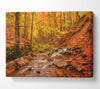 Soft trickling water through the trees Canvas Wall Art