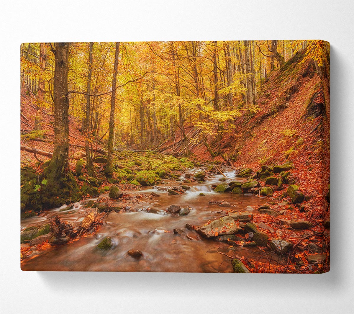 Soft trickling water through the trees Canvas Wall Art