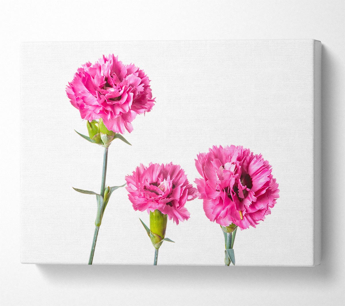 Pink flowers standing up Canvas Wall Art