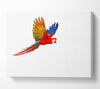 parrot in flight Canvas Wall Art